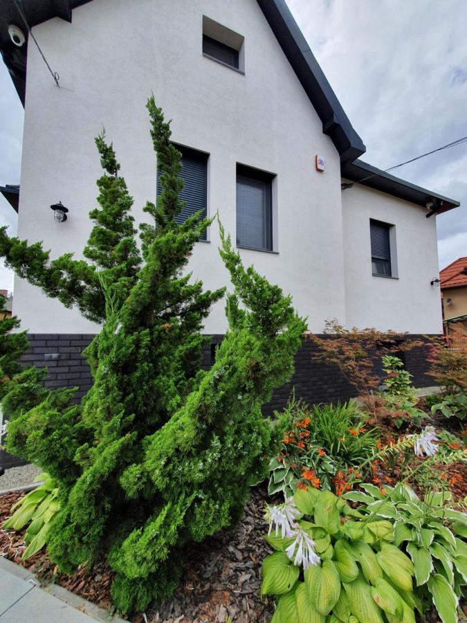 Tweed House Villa Budapest Eksteriør billede